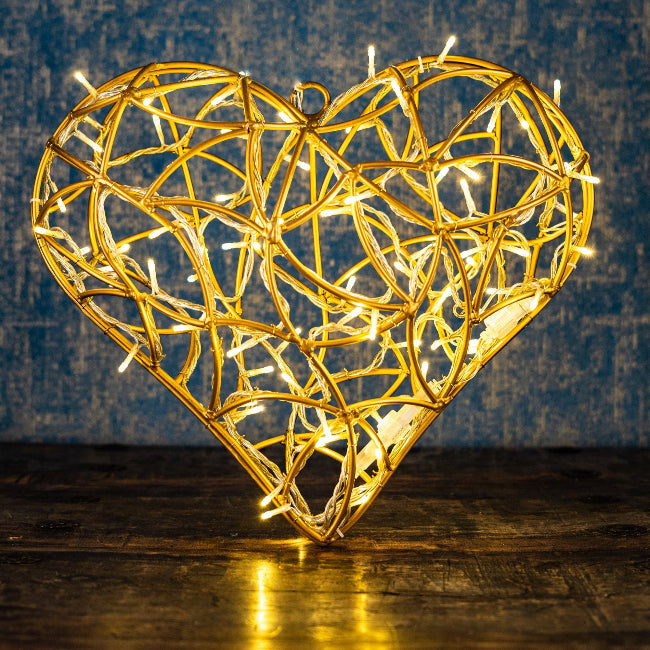 Licht. Objekt. Moment