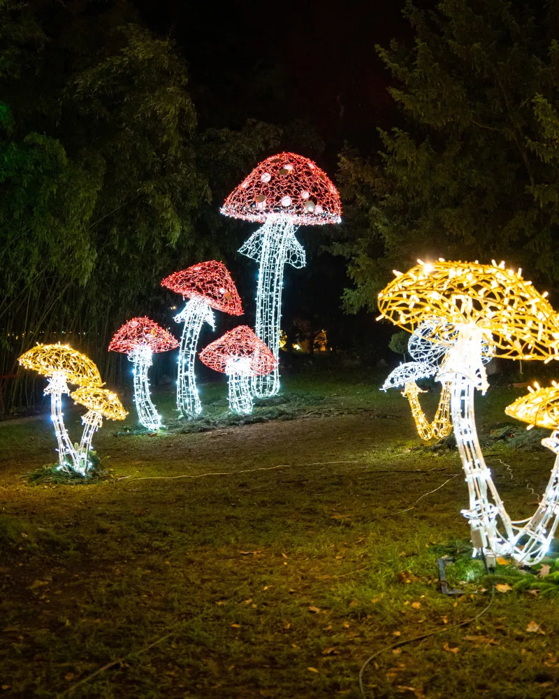 Bekannte Formen, gern gesehen