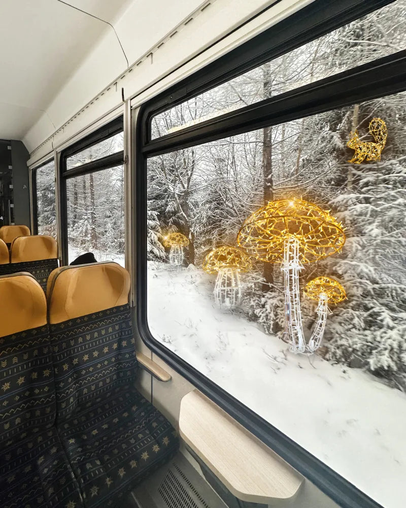 Alganic Leuchtpilze – zwei gewachsene Formen