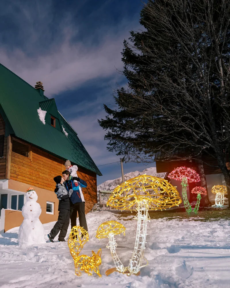 Alganic Leuchtpilze – zwei gewachsene Formen