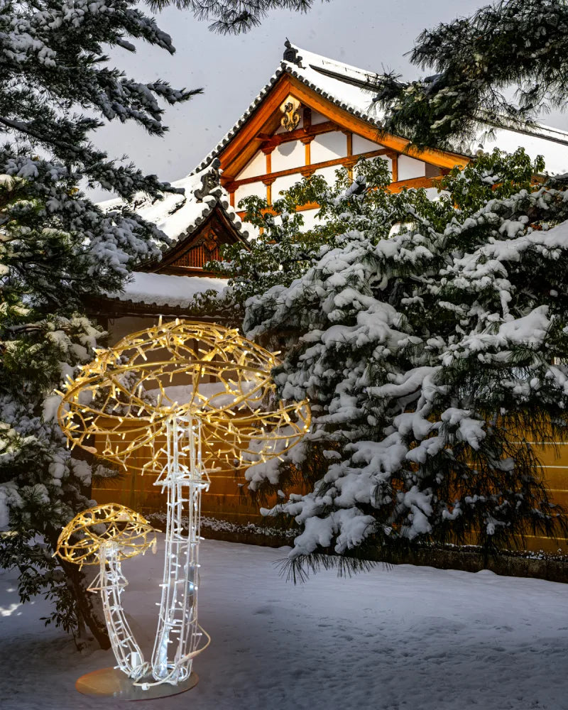 Alganic Leuchtpilze – zwei gewachsene Formen