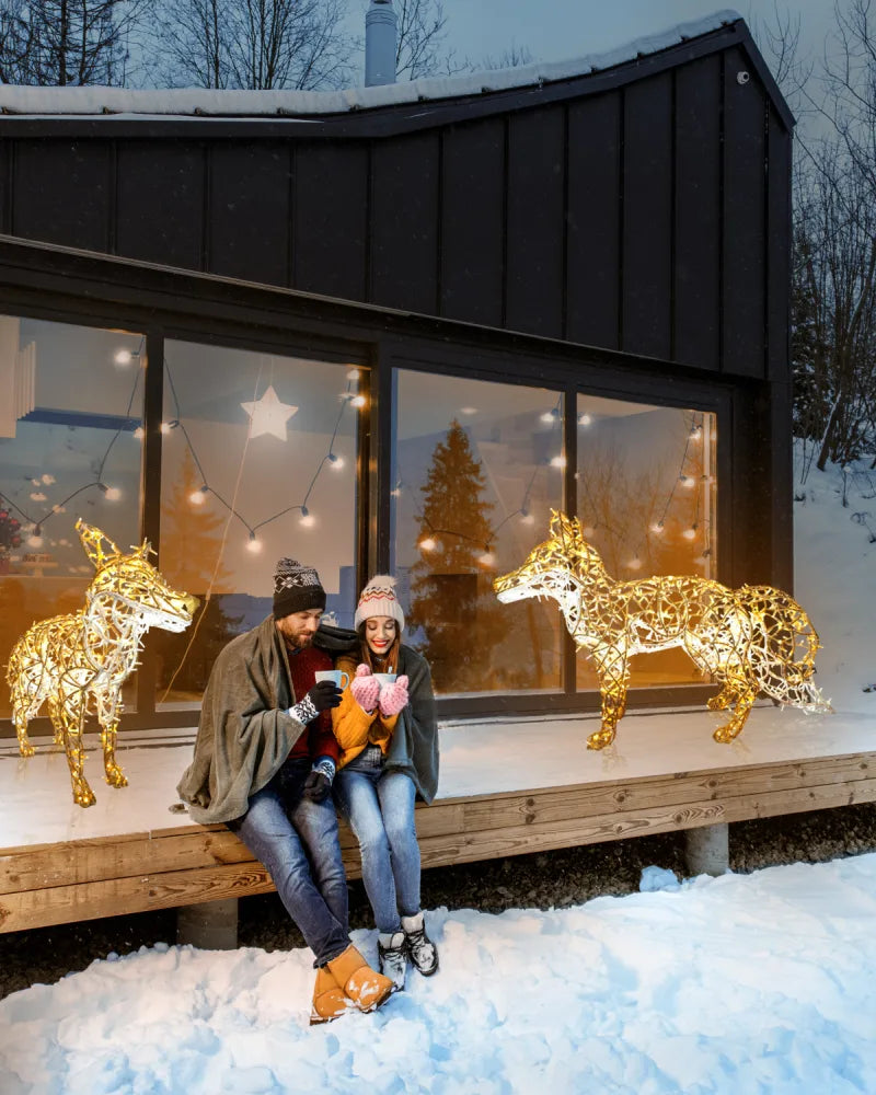 Alganic Licht-Fuchs – schlanke Figur in stillem Schritt