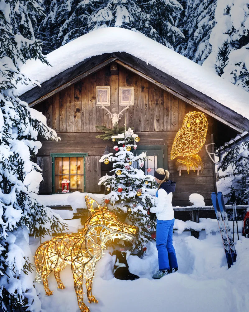 Alganic Licht-Fuchs – schlanke Figur in stillem Schritt