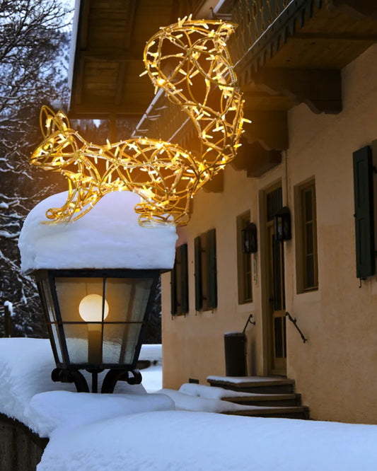 Leuchteichhörnchen – verspielt, elegant & gold leuchtend