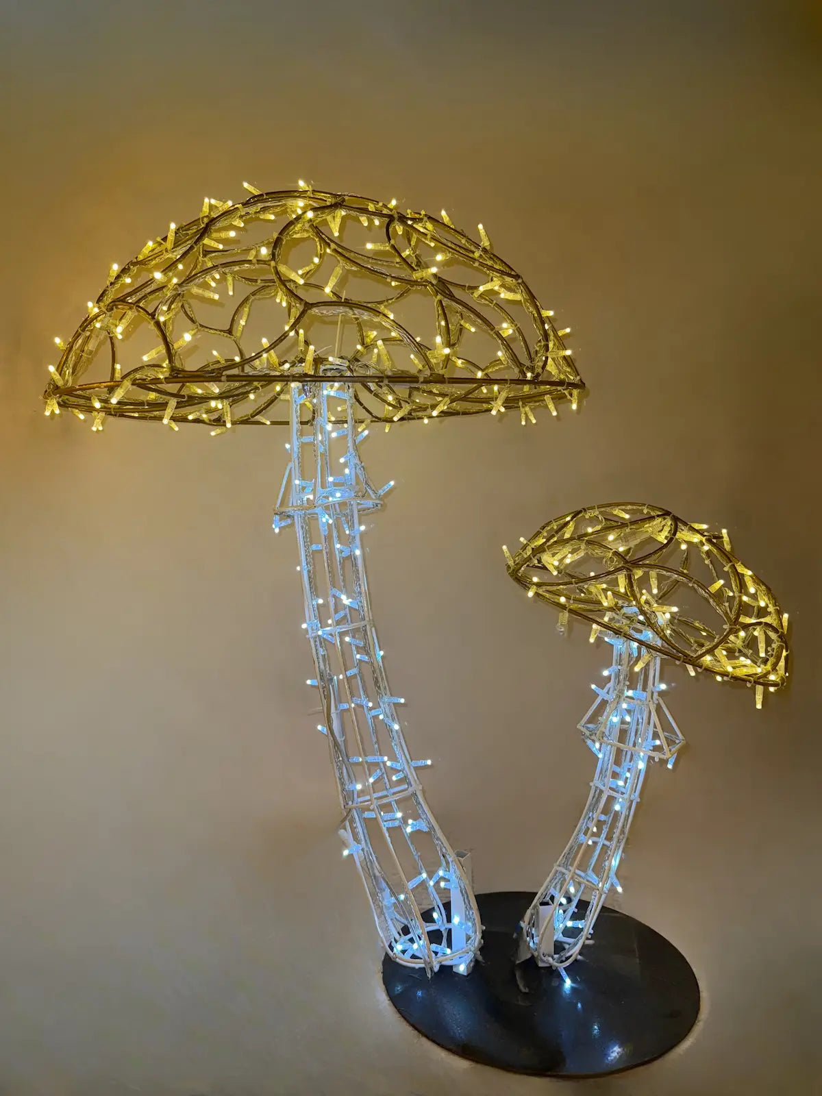 Alganic Leuchtpilze – zwei gewachsene Formen