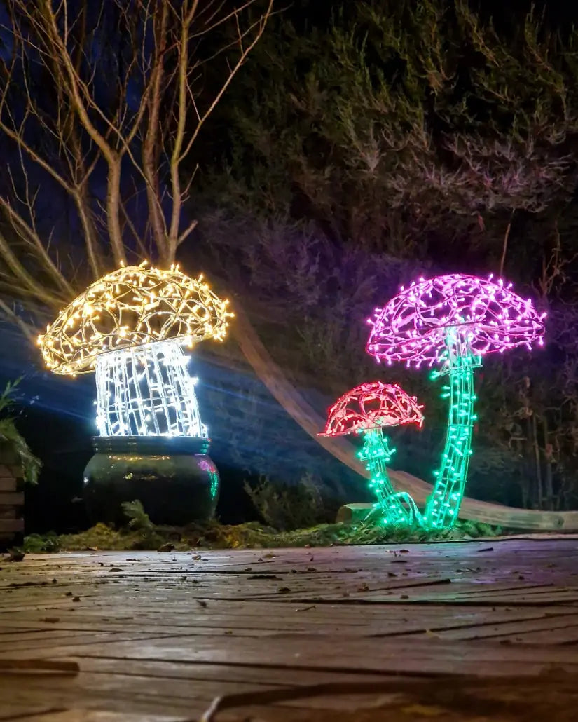 Mehrfarbige Pilz-Lichtskulpturen im nächtlichen Garten – fantasievolle Installation aus Aluminium und LED, leuchtend in Gold, Pink, Grün und Rot.