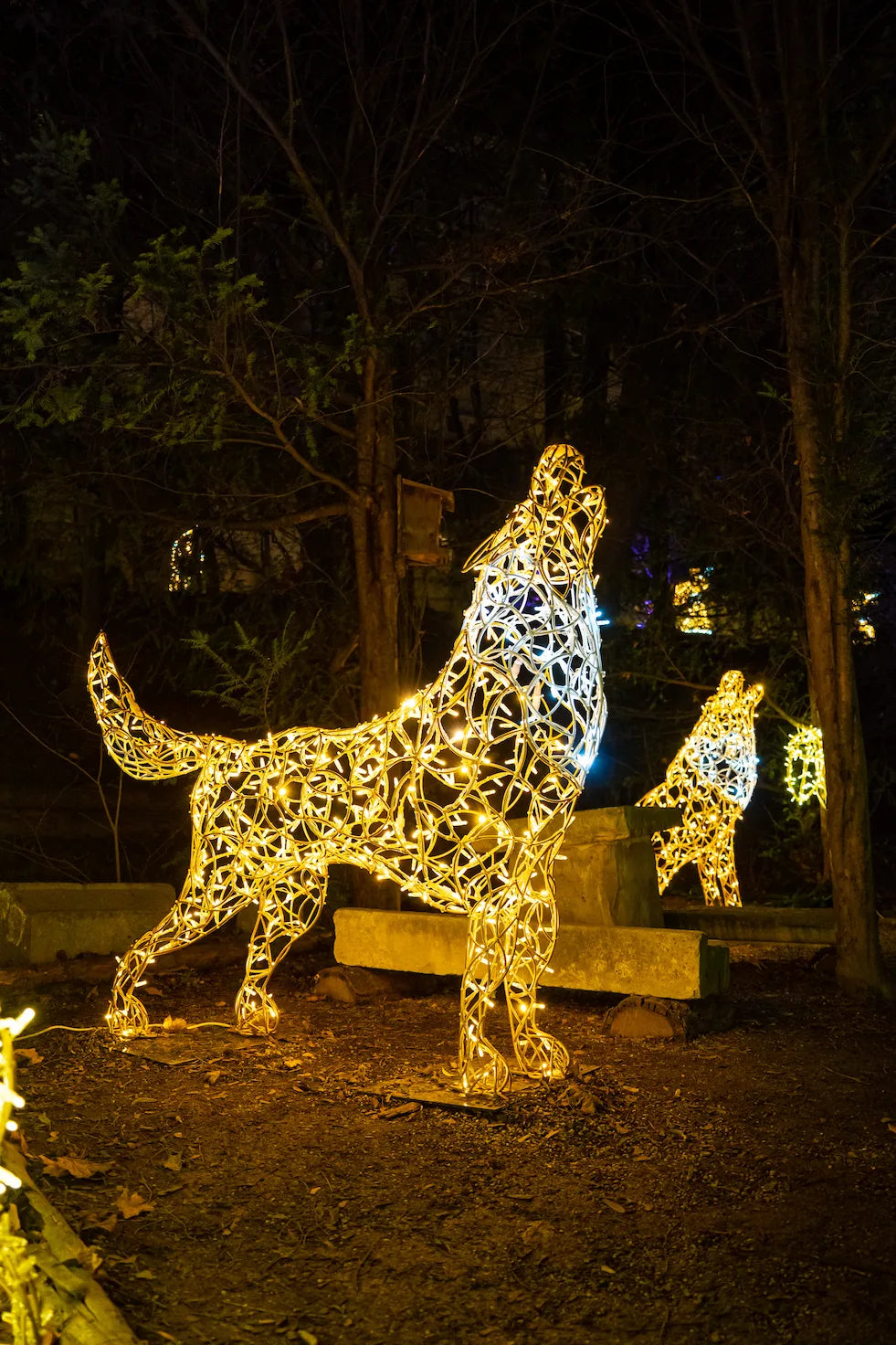 Stehender Wolf aus Aluminium und Licht – leuchtende Outdoor-Skulptur für festliche Inszenierungen im Winter.